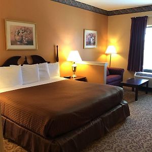 Luxury Suites